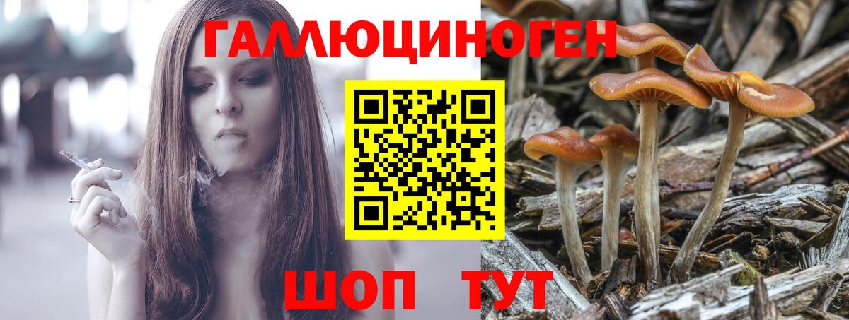Псилоцибиновые грибы Psilocybine cubensis  Вход с VPN  Берёзовский 