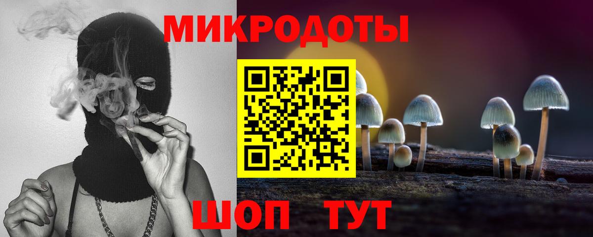 Галлюциногенные грибы мицелий Берёзовский